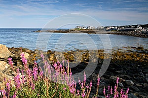 Marginal way in Maine