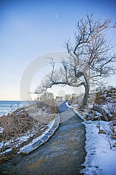 Marginal Way path along the rocky coast of Maine in Ogunquit during winter photo