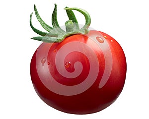 Marglobe ripe tomato, paths