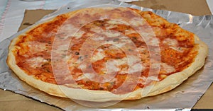 Marguerita pizza