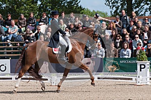 Maria Anita Andersen on Blue Hors Leredo