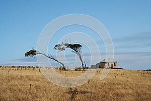 Maria Island photo