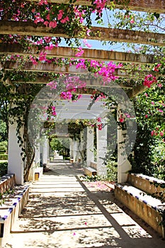 Maria Luisa park, Seville, Andalucia