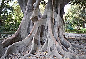 Maria Luisa Park, Seville, Spain