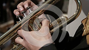 Mariachi trumpet player