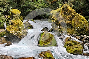 Marian Falls on the Lake Marian track, New Zealand