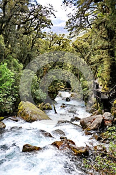 Marian Falls on the Lake Marian track, New Zealand