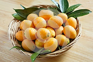 Marian plum or Bouea macrophylla