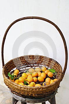 Marian plum, Exotic Thai Fruit