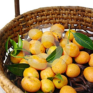 Marian plum, Exotic Thai Fruit