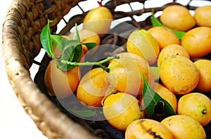 Marian plum, Exotic Thai Fruit