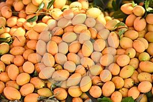 Marian plum fruit in the market tropical fruit , Name in Thailand Sweet Yellow Marian Plum Maprang Plango or Mayong chid photo