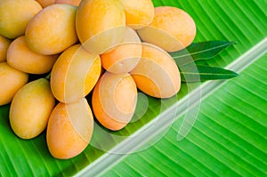 Marian plum or Ma Yong Chid on banana leaf background