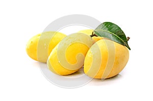 Marian Plum, Plum Mango, yellow fresh fruit and green leaf. Sweet and sour taste. isolated on white background.