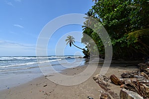 Marianne Beach, Blanchisseuse, Trinidad and Tobago photo