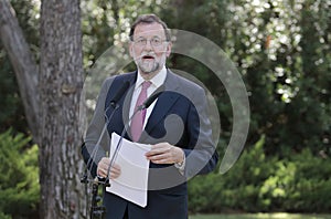 Mariano Rajoy gesturing at media comference in marivent palace gardens