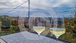 Maribor - Drinking a glass of white wine with scenic view of vineyard during summer in Maribor