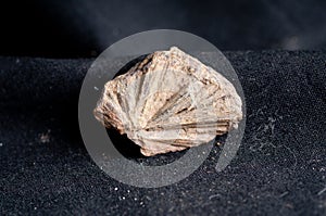 maricite mineral sample