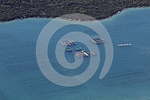 Mariculture in Mali Ston Bay in the Adriatic Sea