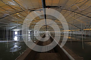 Mariculture pond in China