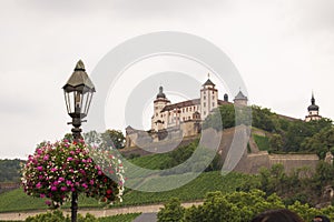 Summer or spring flowers with wurzburg fortress in the background