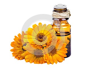 Marigold essential oil