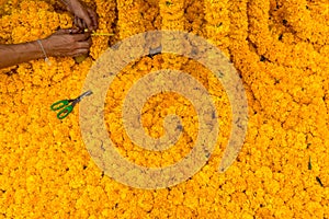 Marigold flower decoration
