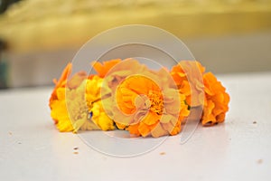 the marigold flower in Sri lanka