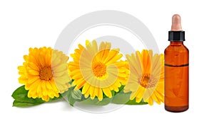 Marigold flowers with bottle with essence