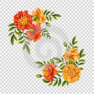 Marigold Flowers Design