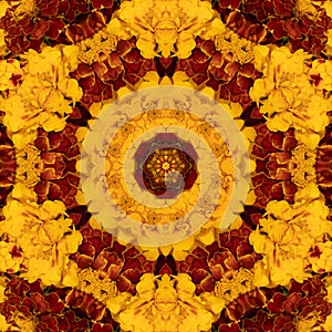 Marigold flowers in the form of kaleidoscope