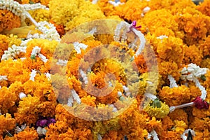 Marigold flowers garland background at hindu temple