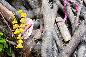 Marigold flowers on phallus shape wooden figure left near trees in Chao Mae Tuptim phallic shrine, Bangkok, Thailand