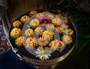 Marigold Flowers for Tihar Deepawali festival and Newari New Year in Kathmandy