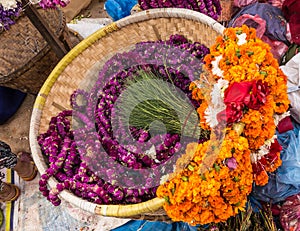 Marigold Flowers for Tihar Deepawali festival and Newari New Year in Kathmandy