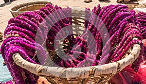 Marigold Flowers for Tihar Deepawali festival and Newari New Year in Kathmandy