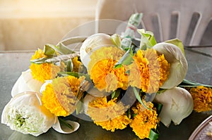 Marigold and Lotus Flower for praying in the temple, Thailand, Marigold, lotus