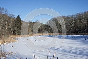 Marigold Marsh in Milton MA, frozen over in winter