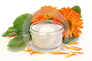 Marigold salve