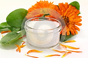 Marigold salve