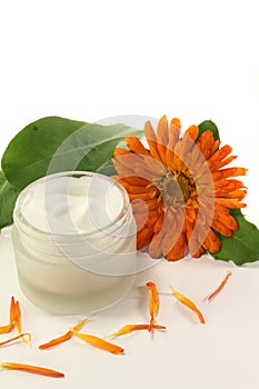 Marigold salve