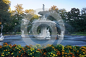 Marigolds blooming in front of the fountain in Forsyth Park in Savannah Georgia