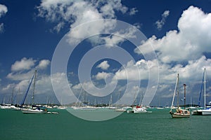 Marigot Harbor, St Martin photo