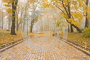 Mariinsky foggy park photo