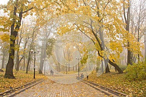 Mariinsky foggy park photo