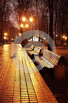 Mariinsky park at night photo