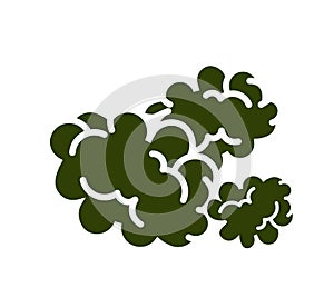 Marijuana bud icon,  line color vector illustration