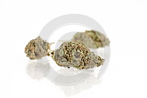 Marijuana Buds