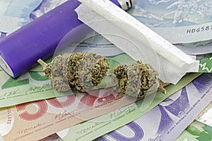 Marijuana Buds on Money with a lighter and rolling papers