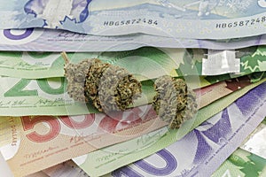 Marijuana on Canadian Cash